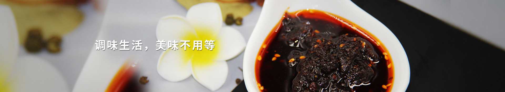 大丰食品辣椒调味品，调味生活，美味不用等